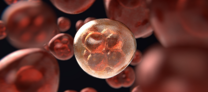 Image - cancer cells