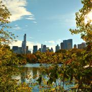 How Cities Can Solve the Climate Challenge Image - New York