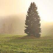 American Enlightenments Image - American Enlightenments