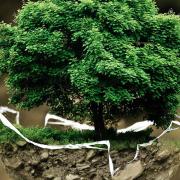 Environmental Movement Image - Environmental Movement