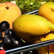 The Health Risks of GMOs Image - The Health Risks of GMOs