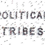 Image - Amy Chua: Political Tribes