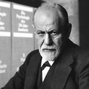 Image - Freud Without Contradictions