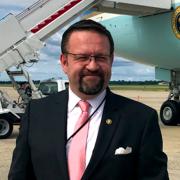 Gorka Image - Gorka