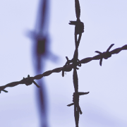 How America Exploited Japan's Biological Weapons Crimes Image - How America Exploited Japan's Biological Weapons Crimes