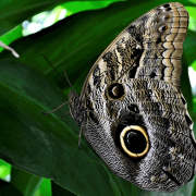 Our Inner Ecology Image - Our Inner Ecology