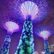 The Next Technology Revolution Image - The Next Technology Revolution