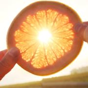 The Fate of Food Image - The Fate of Food
