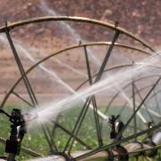 The Land of Dreams and Drought Image - The Land of Dreams and Drought