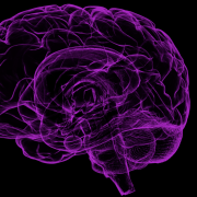 Memory Problems More Likely to Be Reported by the LGBTQ Community Image - human brain outline