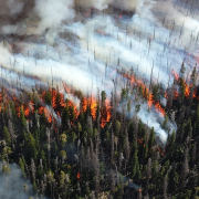 California Wildfires Image - California Wildfires
