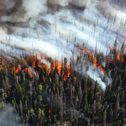 Image - California Wildfires