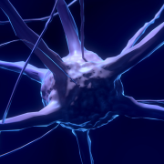 Brain Plasticity Revolution Image - Brain Plasticity Revolution