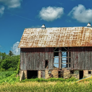 A Healthy Society Series: Healthier Rural America—Toward a Better Future Image - barn
