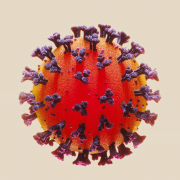 What Do You Know About Combatting COVID-19? Image - Covid