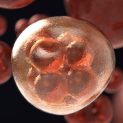 Promising Immunotherapies for Cancer: From the Blacklist to the Nobel Prize Image - cancer cells