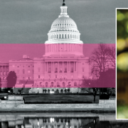 James Kirchick: The Hidden History of Gay Washington Image - James Kirchick and the U.S. Capitol