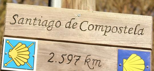 Camino sign