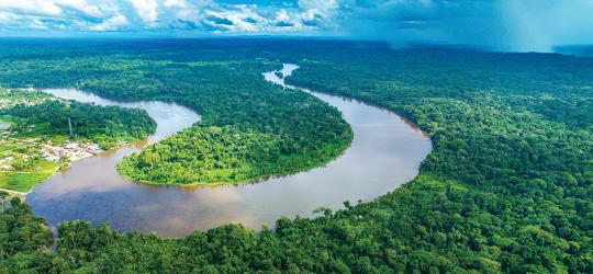 Suriname River