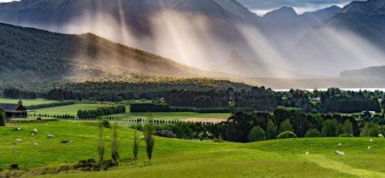 New Zealand