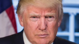Image - President Trump