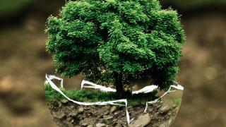 Image - Environmental Movement