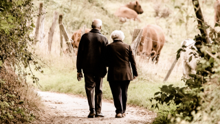 Image - two senior citizens walking down path