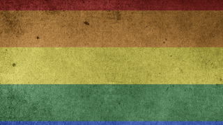 Image - rustic pride flag