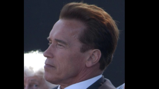 Image - Arnold Schwarzenegger