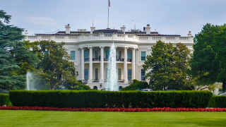 Image - Picking the Democratic Presidential Candidate