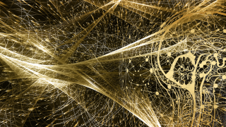 Image - illustration of brain power