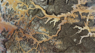 Image - detail from book cover