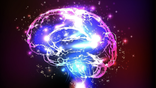 Image - illustration of human brain bathed in multi-colored lights