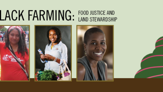 Image - illustration of leaf, photos of speakers, text of program title