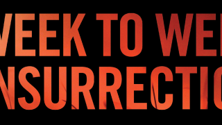 Image - Orange text of Week to Week Insurrection