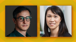 Image - Josh Chin and Liza Lin