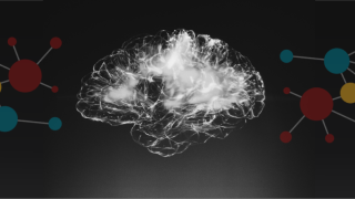 Image - illustration of brain