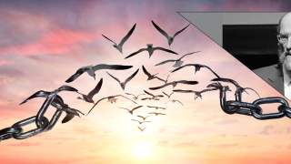 Image - chains, birds, the speaker