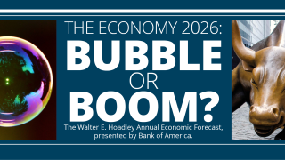 Image - a bubble, a bull, and the program title